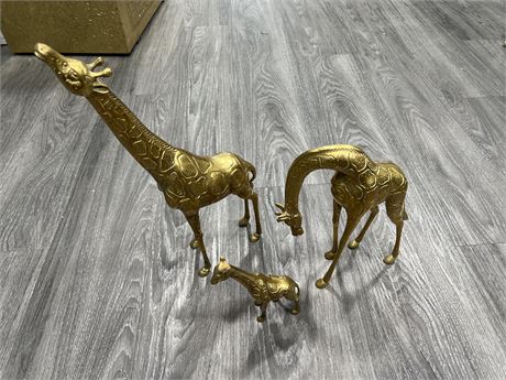 3 LARGE VINTAGE BRASS GIRAFFES - LARGEST IS 16” TALL