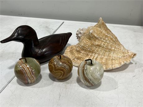 CONCH SHELL, WOOD DUCK & MARBLE APPLES