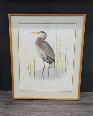 SIGNED AND NUMBER PRINT GREAT BLUE HERON (35"x29")