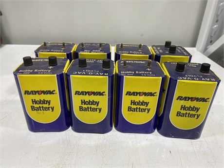 8 RAYVAC HOBBY BATTERIES 1.5VOLTS