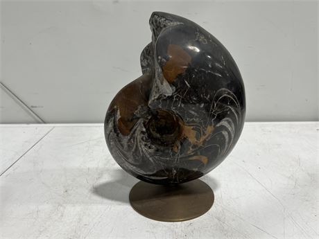 HEAVY STONE SHELL SCULPTURE ON STAND (11”)