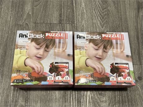 2 NEW ANIBLOCK PUZZLE CHALLENGER 2 - STEM AUTHENTICATED
