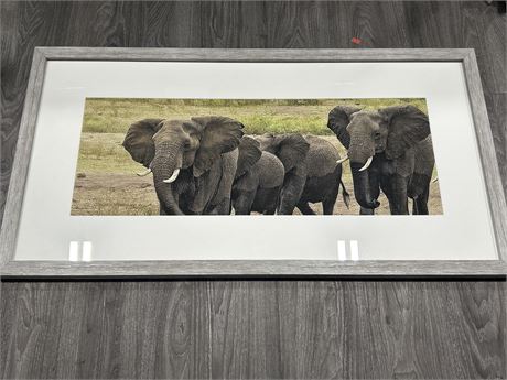 LARGE FRAMED ELEPHANT PICTURE/PRINT - 42” X 22”