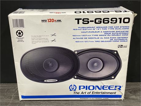 PIONEER TS-G6910 SPEAKERS