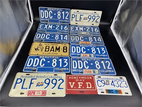 12 COLLECTABLE LICENSE PLATES