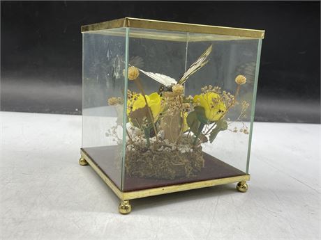 GLASS VINTAGE BUTTERFLY DISPLAY (4”x4”x5”)