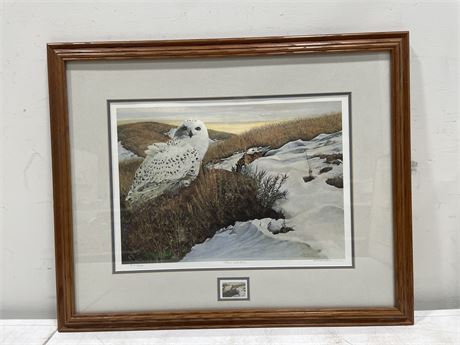 FRAMED SNOWY OWL SIGNED NUMBERED PRINT W/ COA (26”x21”)