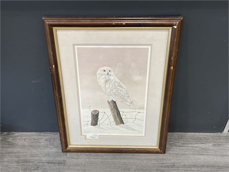 SIGNED / NUMBERED OWL PRINT BY VICKI WATING (20”x26”)