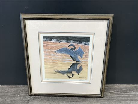 RON PARKER “EARLY REFLECTIONS - TRUMPETER SWAN” FRAMED PRINT - 19”x19”