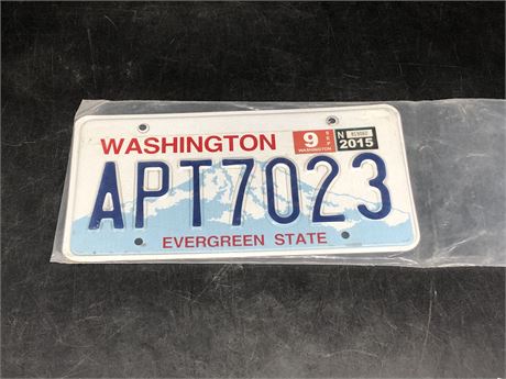 WASHINGTON “EVERGREEN STATE” LICENSE PLATE (GOOD CONDITION)