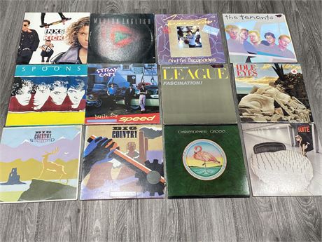 12 MISC. RECORDS (Good condition)