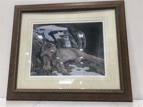 LYNX FRAMED PICTURE (26.5” X 22.5”)