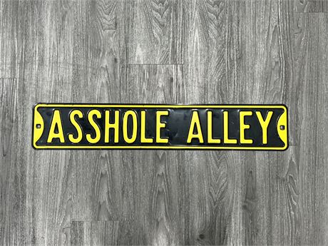 “ASSHOLE ALLEY” MAN CAVE SIGN - 36”x6”