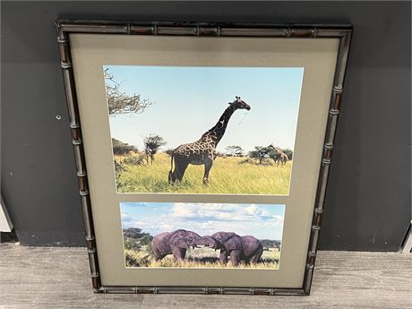 FRAMED AFRICAN WILDLIFE PICTURE - 25”x31”